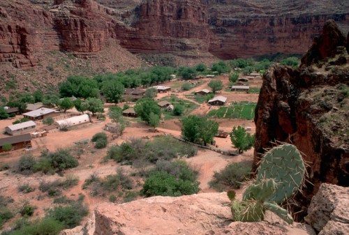 Aerial view of a desert village surrounded by rocky cliffs and greenery, with a cactus in the foreground.