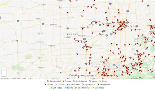 Map showing bird sighting locations in Kansas, marked with red icons for various species and alerts.