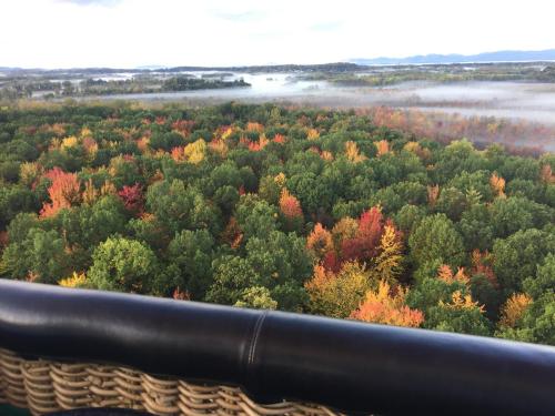 Aerial view of a vibrant forest in autumn, showcasing a mix of green, orange, and red foliage with mist in the background.