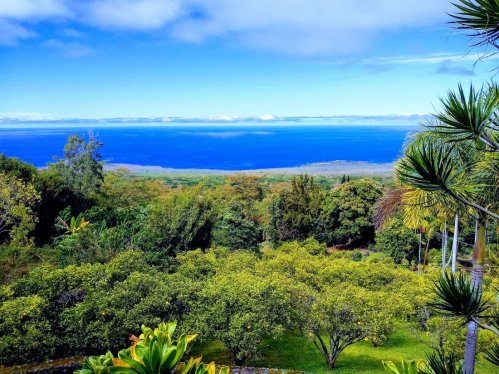 Lush green landscape with trees and plants overlooking a vibrant blue ocean under a clear sky.
