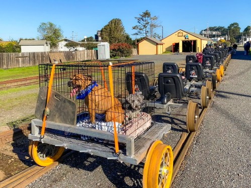 Two dogs in a cage on a cart, with several other carts lined up on a sunny day near a train station.