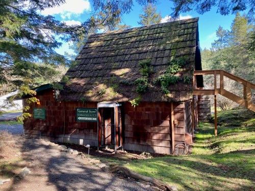 A rustic general store with a moss-covered roof, surrounded by trees and greenery, featuring a wooden staircase.