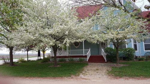 A charming house with a porch, surrounded by blooming white flowering trees and a grassy yard.