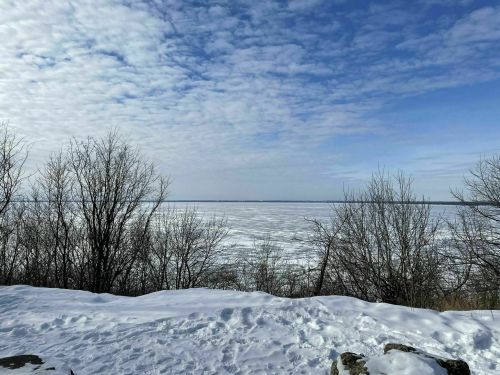 A snowy landscape with bare trees overlooking a frozen lake under a cloudy blue sky.