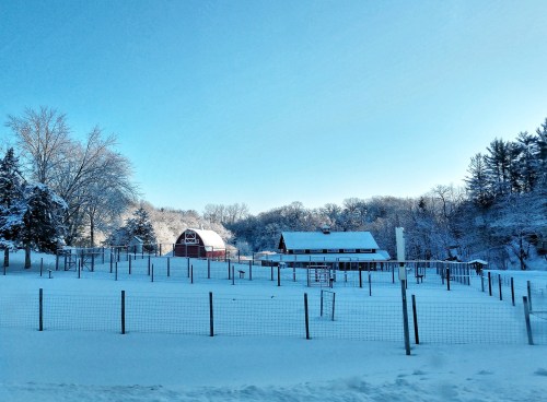 A snowy farm scene featuring a red barn, white fences, and trees, all blanketed in fresh snow under a clear blue sky.