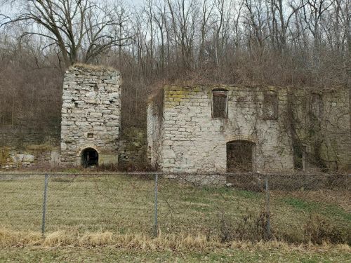Abandoned stone ruins covered in vines, surrounded by trees and a grassy area, with a fence in the foreground.