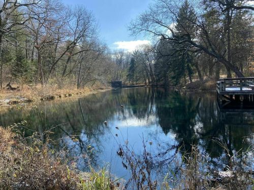 A serene pond surrounded by trees, reflecting the sky and foliage on a clear day.
