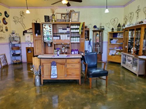 A cozy shop interior featuring wooden furniture, shelves with products, and a single chair in a warm, inviting space.