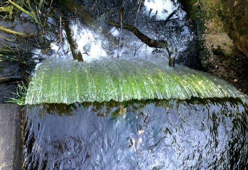 A serene waterfall cascading over a mossy ledge into a clear stream below, surrounded by lush greenery.