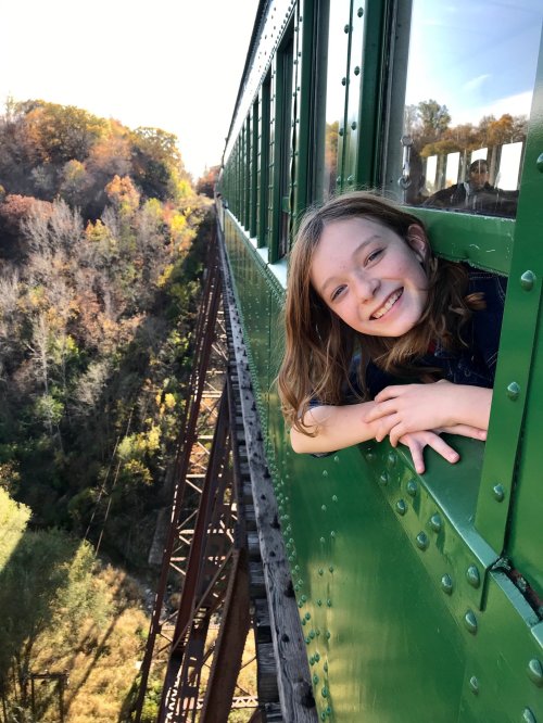 A smiling child leans out of a green train window, overlooking a colorful autumn landscape.