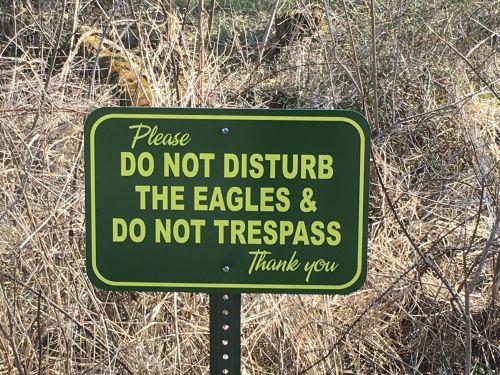 A green sign reading "Please do not disturb the eagles & do not trespass. Thank you." against a natural background.
