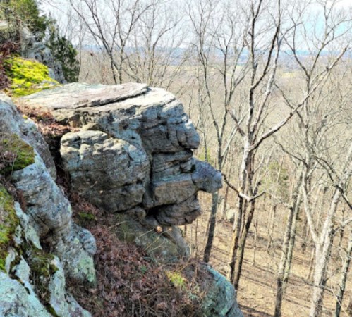 A rocky cliff edge overlooking a forest with bare trees in early spring.