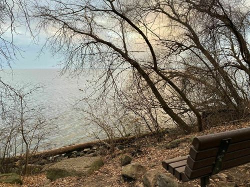 A serene lakeside view with bare trees, a wooden bench, and calm water under a cloudy sky.