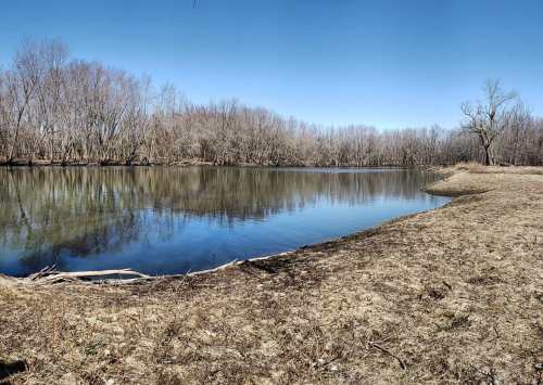 A calm river reflects trees along its banks under a clear blue sky, with a sandy shore in the foreground.