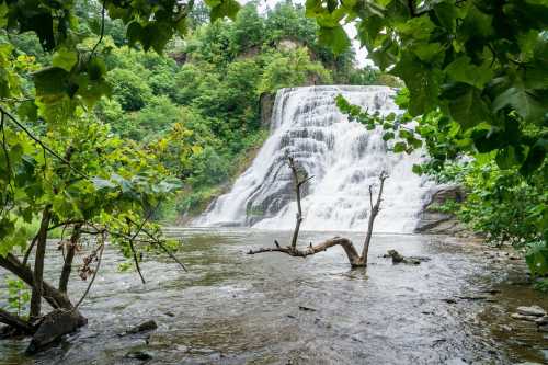 A serene waterfall cascades over rocks, surrounded by lush green trees and foliage, with a calm river in the foreground.