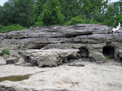 Rocky terrain with layered stone formations and sparse vegetation, surrounded by trees in a natural setting.