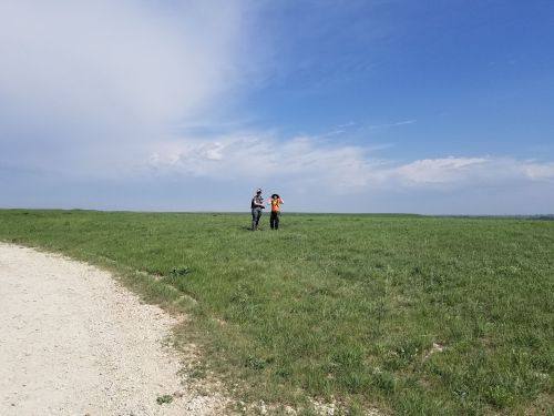 Two people walking on a grassy field under a blue sky with scattered clouds, with a dirt path in the foreground.