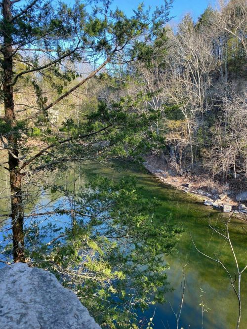 A serene river flows through a wooded area, surrounded by trees and rocky banks under a clear blue sky.