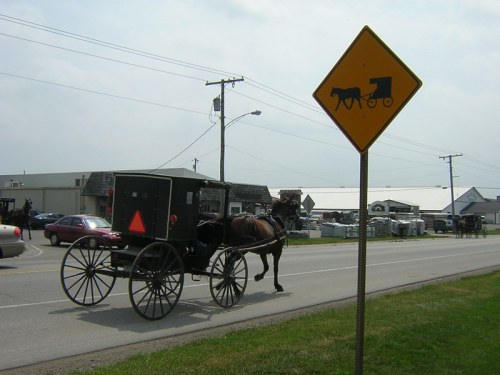 A horse-drawn buggy passes a road sign indicating horse-drawn vehicle traffic in a rural area.