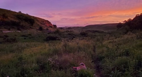 A serene landscape at sunset, featuring rolling hills, lush green grass, and a colorful sky with soft clouds.