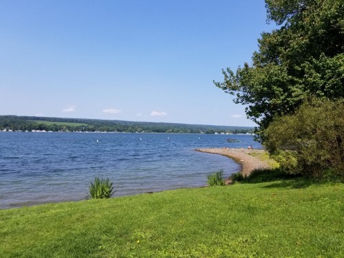 A serene lakeside view with clear blue water, green grass, and trees under a bright blue sky.