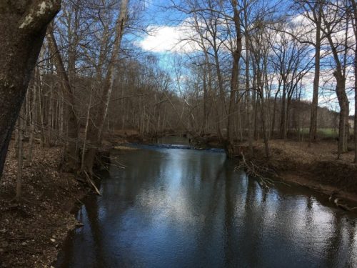 A serene river flows through a wooded area, surrounded by bare trees and a clear blue sky with scattered clouds.