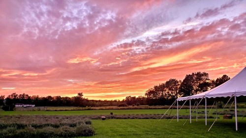 A vibrant sunset paints the sky in shades of pink and orange over a grassy field with a white tent in the foreground.