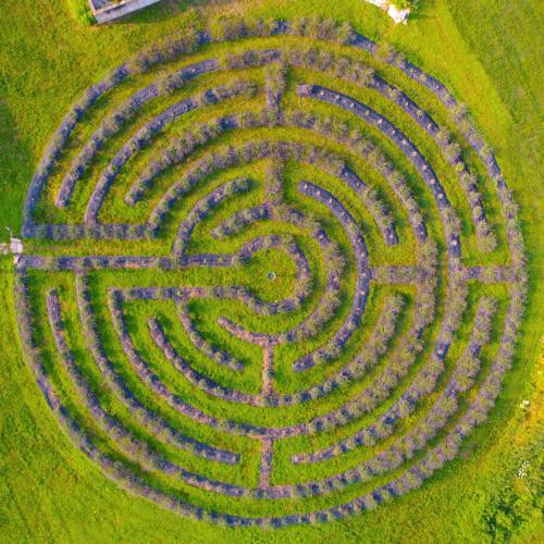 Aerial view of a circular maze made of greenery, surrounded by lush grass.