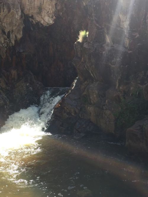A small waterfall cascades over rocky terrain into a calm pool, illuminated by sunlight.