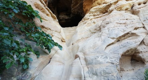 A rocky cliff with smooth, weathered surfaces and green foliage at the base, leading to a dark cave opening above.