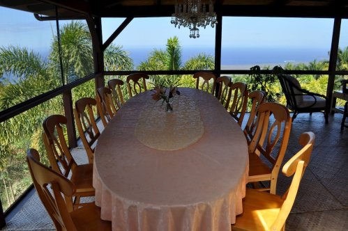 A long dining table set with a pink tablecloth, surrounded by wooden chairs, with a view of palm trees and the ocean.