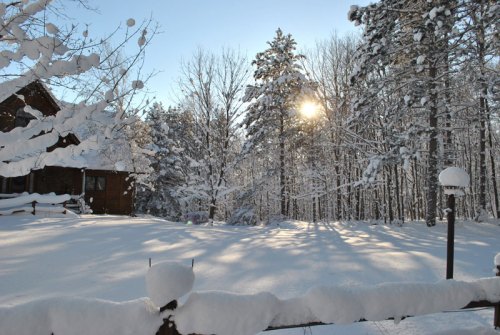 A snowy landscape with trees and a house, sunlight peeking through the branches, creating long shadows on the ground.