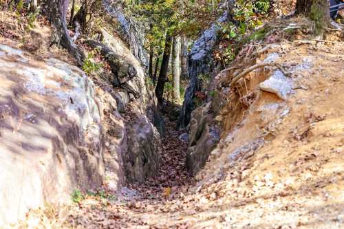 A narrow, rocky path lined with trees and fallen leaves, leading through a natural ravine in a wooded area.