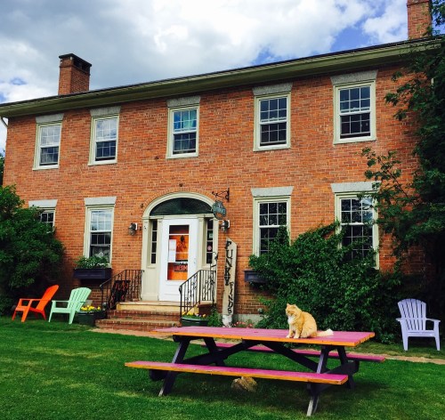 A brick house with large windows, surrounded by green grass and colorful chairs, featuring a cat on a pink picnic table.