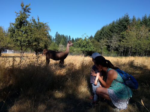A child and an adult observe a large animal in a grassy field surrounded by trees on a sunny day.