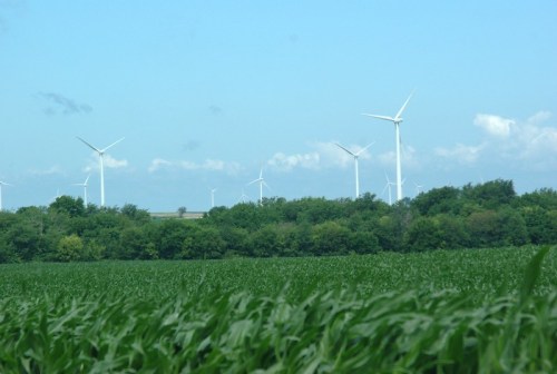 A green field in the foreground with wind turbines in the background under a clear blue sky.