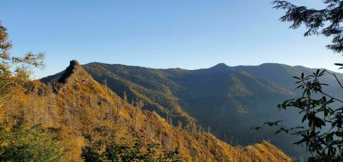 Scenic view of mountains covered in autumn foliage under a clear blue sky.