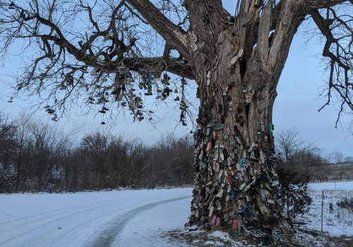 A large tree covered in various shoes, with a snowy landscape and a winding road in the background.