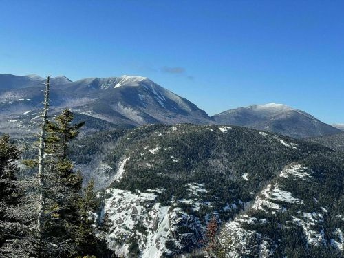 Snow-covered mountains under a clear blue sky, with evergreen trees in the foreground.