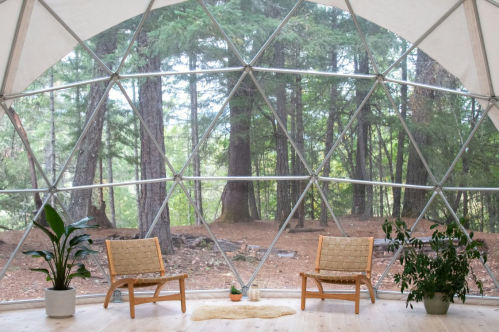 A cozy interior with two chairs and plants, featuring a large geodesic window overlooking a forest.