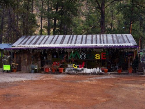 A rustic building with a metal roof, colorful signs, and potted plants, surrounded by trees and dirt ground.