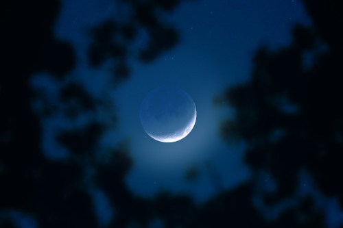 A crescent moon glowing softly in a night sky, framed by dark tree silhouettes.