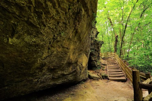 A wooden staircase leads through a lush green forest, flanked by a large rock formation.