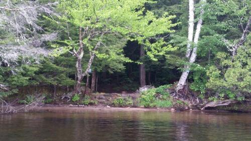Lush green trees line a calm lake shore, with a forested area visible in the background.
