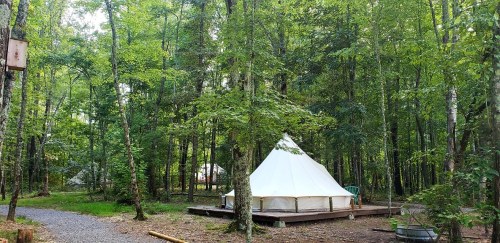A white tent on a wooden platform surrounded by lush green trees in a forested area.
