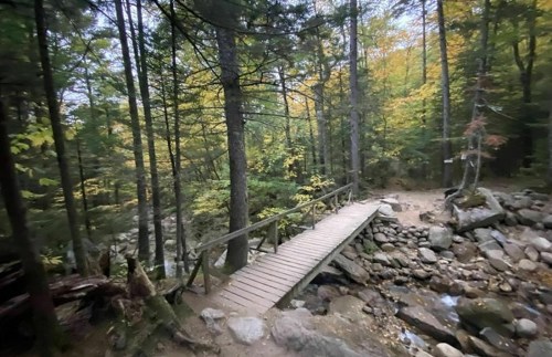 A wooden bridge spans a rocky stream, surrounded by lush green trees and autumn foliage.