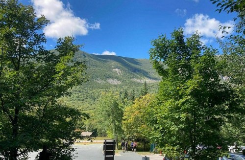 A scenic view of green mountains under a blue sky with fluffy clouds, framed by trees in the foreground.