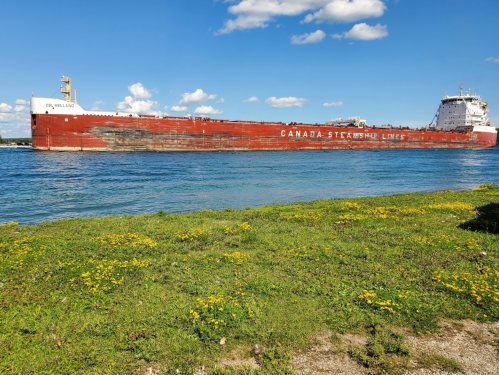 A large red cargo ship, "EUL Welland," sails on calm waters with a blue sky and fluffy clouds in the background.