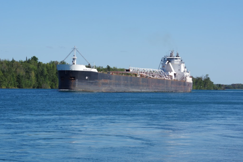 A large cargo ship navigates through calm waters, surrounded by green trees under a clear blue sky.