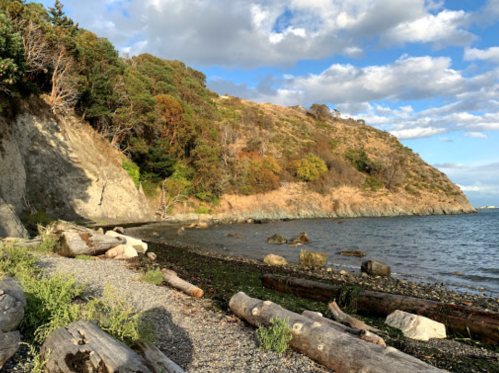 A rocky beach with driftwood, surrounded by lush greenery and a hillside under a partly cloudy sky.